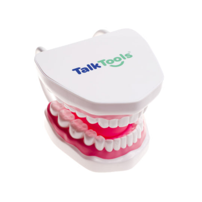 TalkTools® Mouth Demonstrator